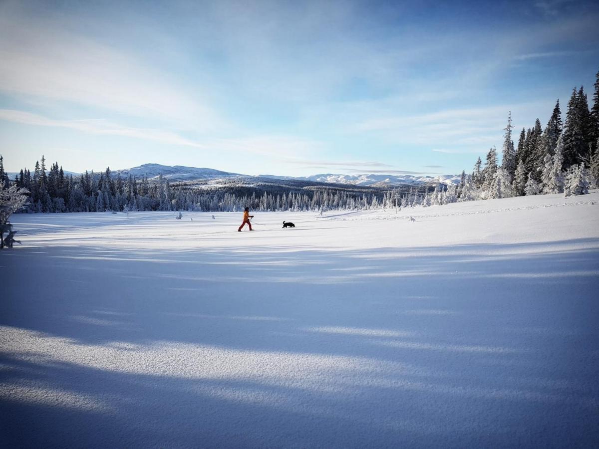 Koeja Fjaellhotell Edsasdalen Eksteriør bilde