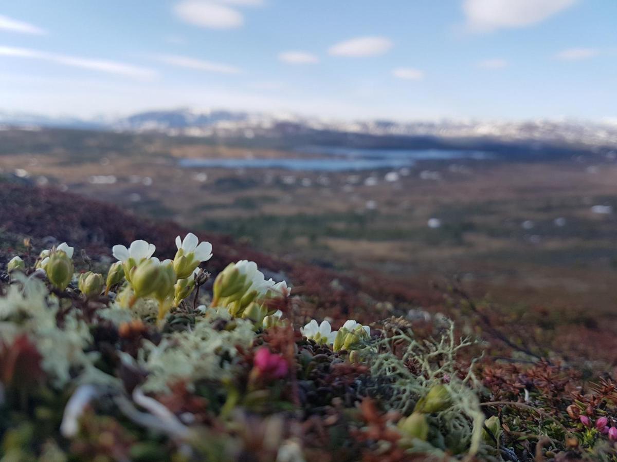 Koeja Fjaellhotell Edsasdalen Eksteriør bilde