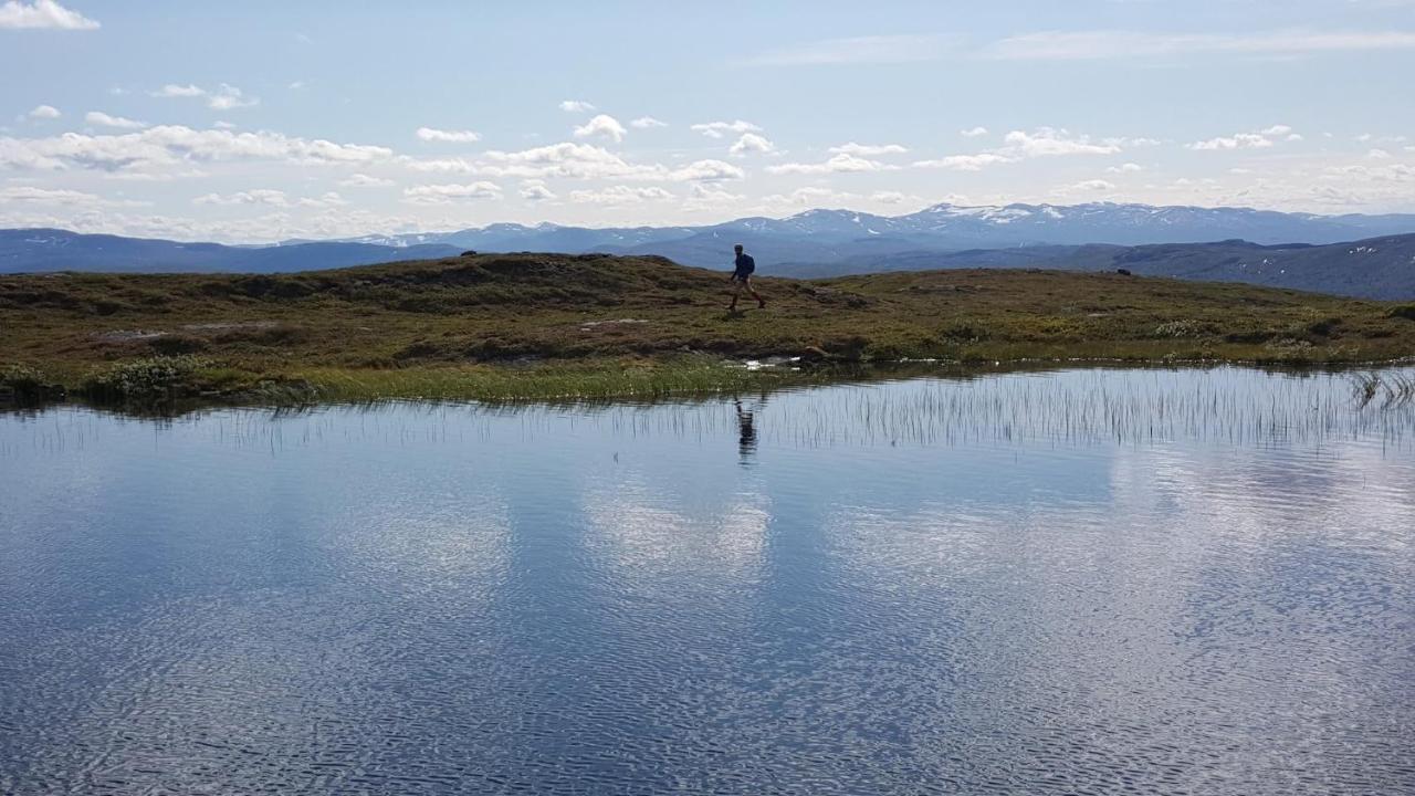 Koeja Fjaellhotell Edsasdalen Eksteriør bilde