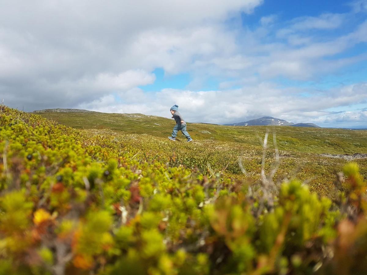 Koeja Fjaellhotell Edsasdalen Eksteriør bilde